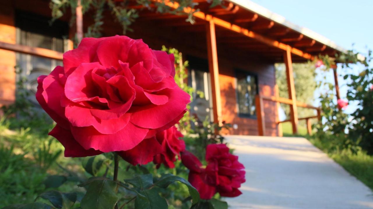 Hotel Agroturizem Bylis Hekal Exterior foto