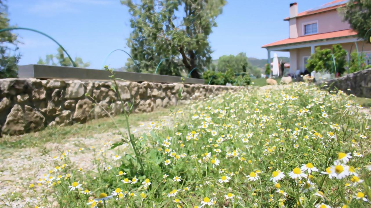 Hotel Agroturizem Bylis Hekal Exterior foto