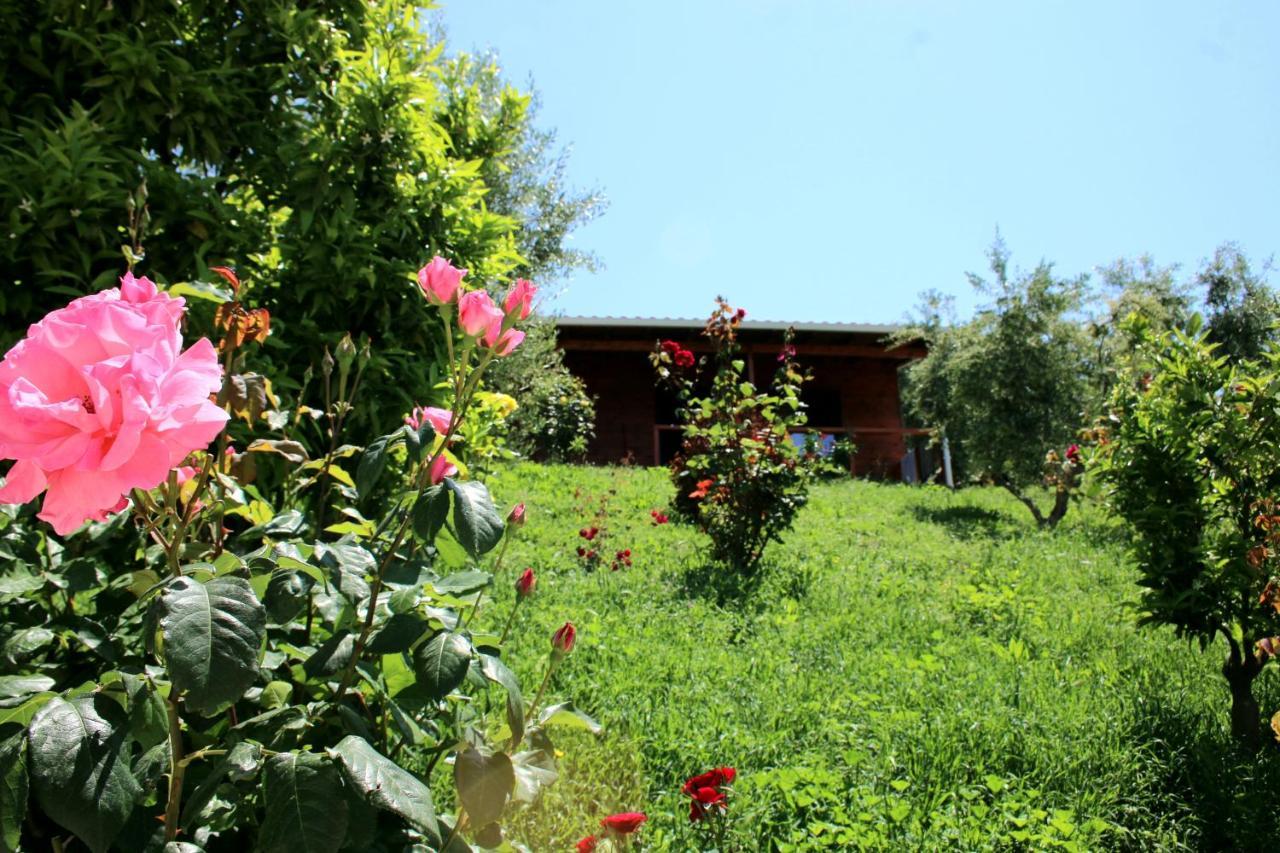 Hotel Agroturizem Bylis Hekal Exterior foto